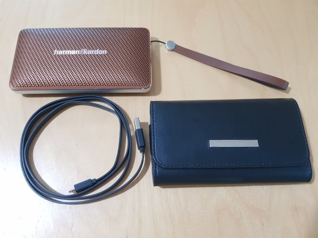 harman kardon esquire mini case
